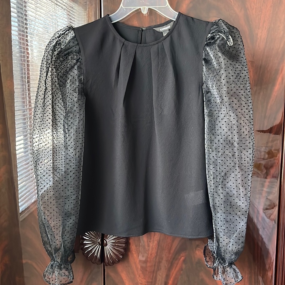 Express Top with Sheer Long Puff Sleeves